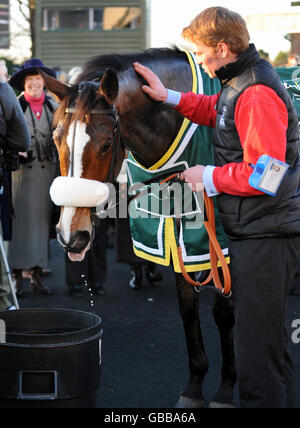 Kauto Star che è stato guidato da Ruby Walsh prende una bevanda ben meritata nel recinto dei vincitori dopo aver assicurato lo Stan James King George VI Chase durante lo Stan James Christmas Festival all'ippodromo di Kempton. Foto Stock