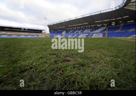 Calcio - FA Cup - Terzo Round - Birmingham City v Wolverhampton Wanderers - St Andrews Foto Stock