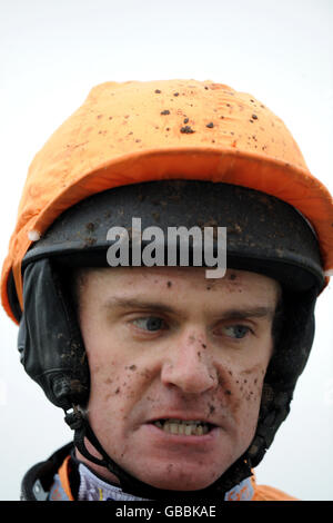 Horse Racing - Mercatino di Natale - Uttoxeter Racecourse Foto Stock