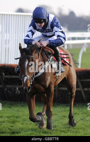 Horse Racing - Stan James festa di Natale - Giorno 2 - Kempton Park Racecourse Foto Stock