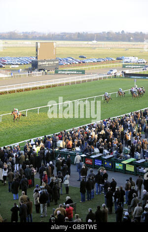 Horse Racing - Stan James festa di Natale - Giorno 2 - Kempton Park Racecourse Foto Stock