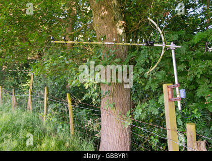 Antenne TV sul bordo di un legno in Shropshire campagna, Inghilterra, Regno Unito. Foto Stock