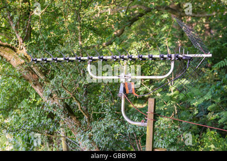 Antenne TV sul bordo di un legno in Shropshire campagna, Inghilterra, Regno Unito. Foto Stock