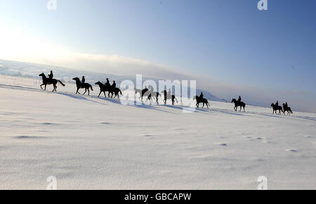 Corse di cavalli - Cavalli palestra a Middleham Foto Stock