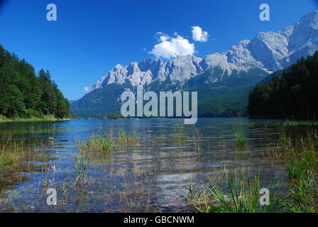 Bergsee, Gebirge, Sommer, Eibsee, Zugspitze, Bayern Foto Stock