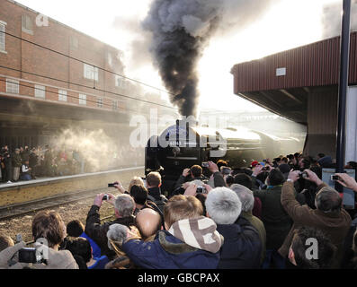 Gli appassionati imballano le piattaforme della stazione di York mentre la classe di Peppercorn A1 60163 Tornado lascia la stazione. Foto Stock