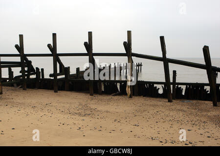 Una vista generale delle difese marine in legno costruite alla fine degli anni '50 a Happisburgh, North Norfolk. Negli ultimi anni sono falliti, e grandi pezzi di scogliere sabbiose stanno cadendo regolarmente in mare Foto Stock