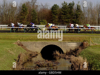 Corse di cavalli - Ippodromo di Lingfield. Corridori e cavalieri nel Happy Birthday Nicky Amateur Riders' handicap (Div 1) al Lingfield Racecourse, Surrey. Foto Stock