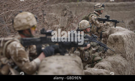 Royal Marines dal 45 comando sulla pattuglia nella zona verde nel distretto di Sangin dell'Afghanistan. Foto Stock