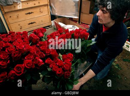 Un operaio a solo Roses su Old Brompton Road, Londra, prepara un bouquet prima di San Valentino. Foto Stock