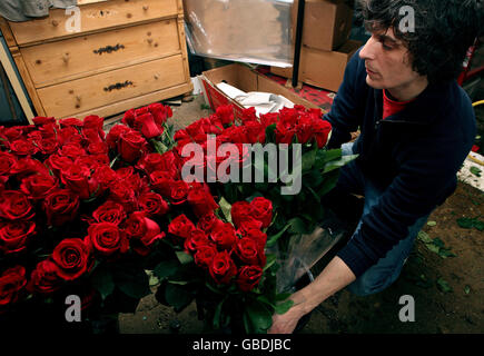 Un operaio a solo Roses su Old Brompton Road, Londra, prepara un bouquet prima di San Valentino. Foto Stock