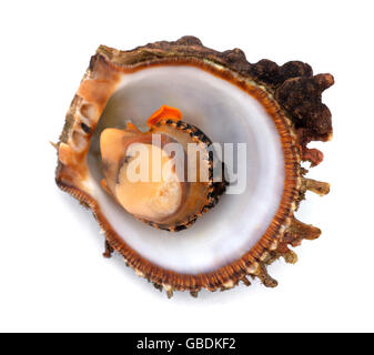 Pesce crudo nel guscio. Isolato su sfondo bianco. Foto Stock