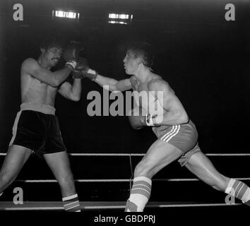 Dave 'Boy' Green, il campione di 24 anni di pesi leggeri britannici ed europei di Chatteris, Cambridgeshire, ha un lungo diritto alla testa di Carlos Palomino, il detentore messicano-americano del titolo mondiale di pesi Welterweight, durante la loro gara di campionato mondiale di 15 round in programma presso l'Empire Pool, Wembley. Foto Stock