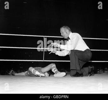 L'arbitro James Brimell si inginocchia sulla figura estesa di Dave 'Boy' Green, il campione britannico di pesi leggeri, il cui titolo mondiale è stato fermato all'Empire Pool, Wembley questa sera quando un tremendo gancio di sinistra dal campione in carica Carlos Palomino lo ha messo fuori per il conteggio nell'undicesimo del campionato del mondo in programma 15-round. Foto Stock