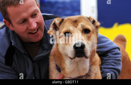 Ex Royal Marine Penny Farthing con Bear, 1, un cucciolo che è stato salvato dal cane combattendo in Afghanistan, durante il suo arrivo alla Mayhew Animal Home nel nord-ovest di Londra. Foto Stock