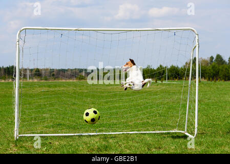 Obiettivo di punteggio a funny goalie jumping per salvarlo Foto Stock