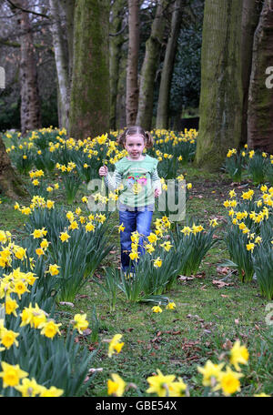 Primi fiori di primavera Foto Stock