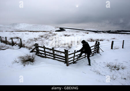 Un camminatore sale una recinzione a Sheriffmuir vicino a Greenloaning nel Perthshire, a seguito di forti cadute di neve. Foto Stock