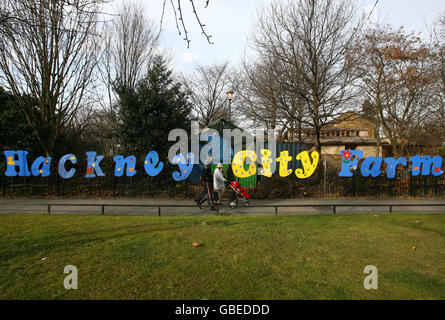 Hackney City Farm a Hackney, nella zona est di Londra. Foto Stock