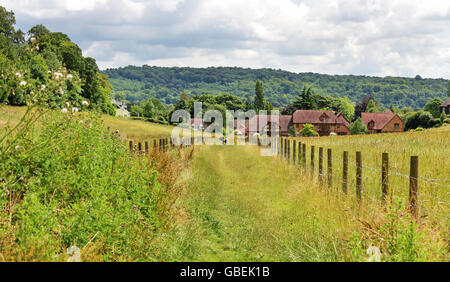 Un sentiero tra i campi recintati in The Chiltern Hills vicino a Marlow in Inghilterra in estate Foto Stock