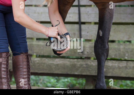 Giovane donna con la pulizia a cavalli zoccolo Foto Stock