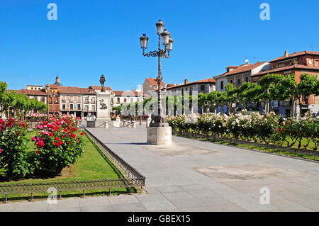 Plaza de Cervantes, Alcala de Henares, provincia di Madrid, Spagna Foto Stock