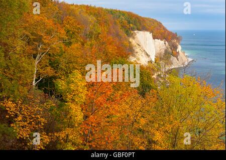 Koenigsstuhl, Kreidefelsen auf Ruegen, Nationalpark Jasmund, Meclenburgo-Pomerania Occidentale, Deutschland, K÷nigsstuhl Foto Stock