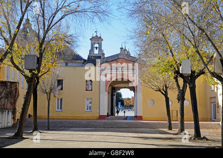 Centro Andaluz de Arte Contemporaneo, la Cartuja, un ex monastero certosino, centro per l arte contemporanea, museo, Siviglia, provincia di Siviglia, in Andalusia, Spagna, Europa Foto Stock