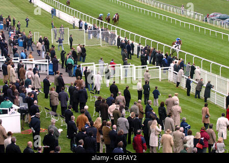 Corse ippiche - corse Epsom. Le folle si godono la loro giornata all'ippodromo di Epsom Downs Foto Stock