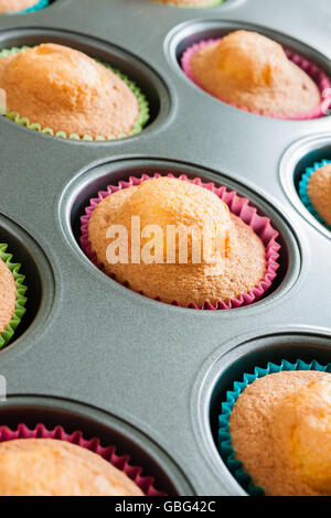 Freschi di forno tortini di spugna o torte di fata in un muffin tin direttamente dal forno Foto Stock