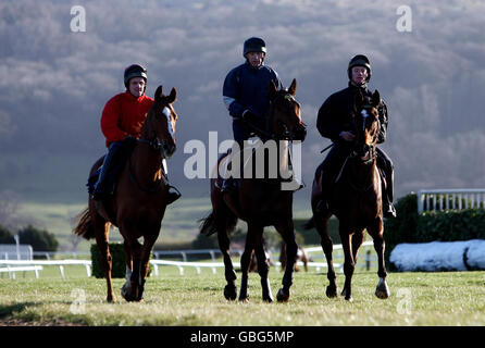 Corse ippiche - Cheltenham Festival 2009 - Anteprima giorno uno - Cheltenham Racecourse. Cavalli dalla stalla di Noel Meade, incluso Harchibald (centro), sulle galoppe all'ippodromo di Cheltenham, Cheltenham. Foto Stock