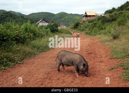 Un agricoltore villaggio vicino al villaggio di Kasi sul Nationalroad 13 in modo da Vang Vieng a Luang Prabang in Laos nel sud-est Foto Stock