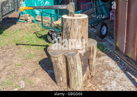 Legno in split con una suddivisione maul per legna da ardere Foto Stock