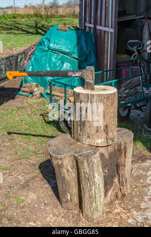 Legno in split con una suddivisione maul per legna da ardere Foto Stock