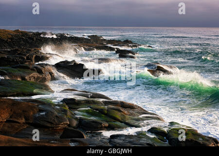 Luce della Sera rivela le onde del mare e high surf pounding il basalto costa dell'Oregon costa centrale a Yachats. Foto Stock