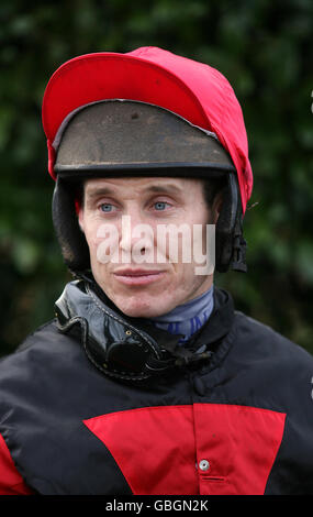 Horse Racing - Paddy Power Imperial Cup giorno - Sandown Park Foto Stock