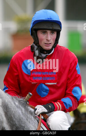 Horse Racing - Paddy Power Imperial Cup giorno - Sandown Park Foto Stock