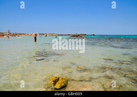 Torre Guaceto, spiaggia, parco naturale, San Vito dei Normanni, provincia di Brindisi, Puglia, Italia Foto Stock