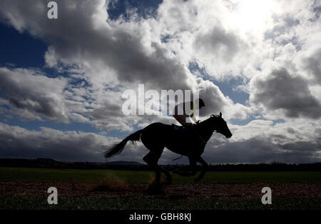 Horse Racing - Molla pomeriggio incontro - Hereford Racecourse Foto Stock