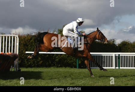 Horse Racing - Molla pomeriggio incontro - Hereford Racecourse Foto Stock