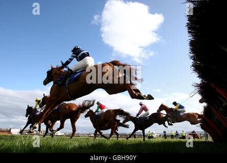 Horse Racing - Molla pomeriggio incontro - Hereford Racecourse Foto Stock