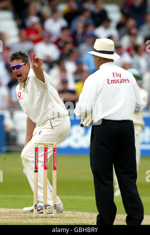 Cricket - npower terza prova - Inghilterra v Nuova Zelanda - Giorno 4 Foto Stock