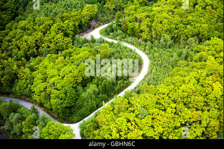 Antenna fuco vista di torsione su strada attraverso la foresta Foto Stock