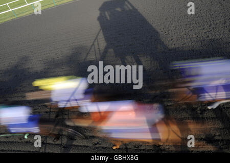 Horse Racing - Inverno Derby - Lingfield Racecourse Foto Stock