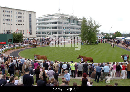 Corse ippiche - corse Epsom - Vodafone Derby. I Racegoers vedono i cavalli da vicino nell'anello della parata Foto Stock