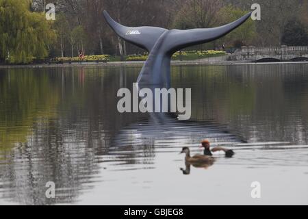 S Hyde Park per celebrare la prima di Blue Whale Odyssey e il lancio del suo nuovo canale, Nat Geo Wild HD. Foto Stock