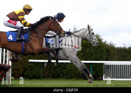 Horse Racing - Molla pomeriggio incontro - Hereford Racecourse Foto Stock