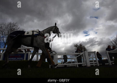 Horse Racing - Molla pomeriggio incontro - Hereford Racecourse Foto Stock