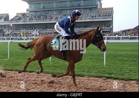 Corse di cavalli - Il 2009 John Smith il Grand National Meeting - Giorno 2 - L'Aintree Racecourse Foto Stock