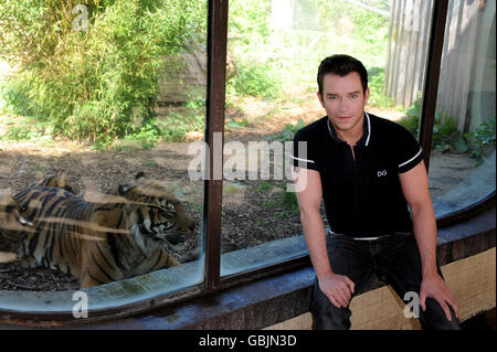 Stephen Gately si impegna a sostenere la conservazione beneficenza 21st Century Tiger, per sensibilizzare le tigri alla minaccia di estinzione, allo Zoo di Londra. Foto Stock